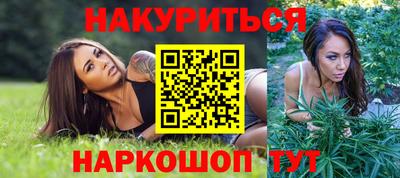 альфа пвп Новодвинск