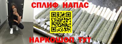 альфа пвп Новодвинск