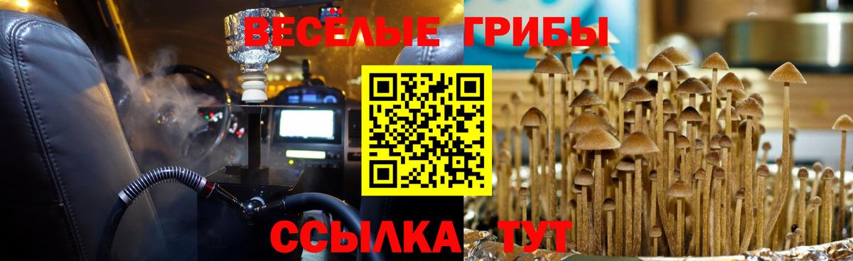 Галлюциногенные грибы ЛСД Пыть-Ях