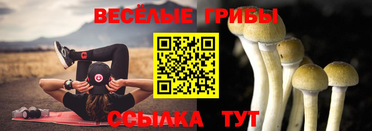 Псилоцибиновые грибы ЛСД  наркошоп  Пыть-Ях  Вход с VPN 